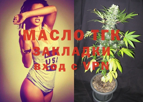 твердый Краснослободск