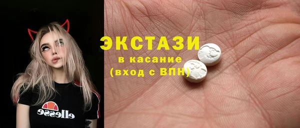 твердый Краснослободск