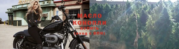 твердый Краснослободск