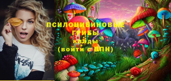шишки Красноперекопск
