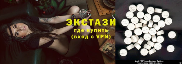 твердый Краснослободск