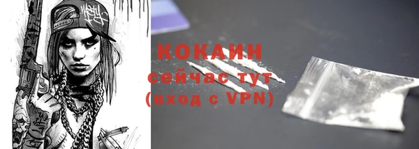 твердый Краснослободск