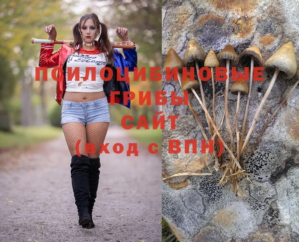 шишки Красноперекопск