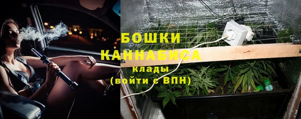 шишки Красноперекопск