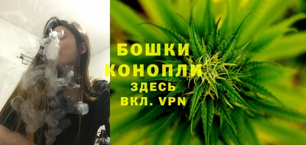шишки Красноперекопск